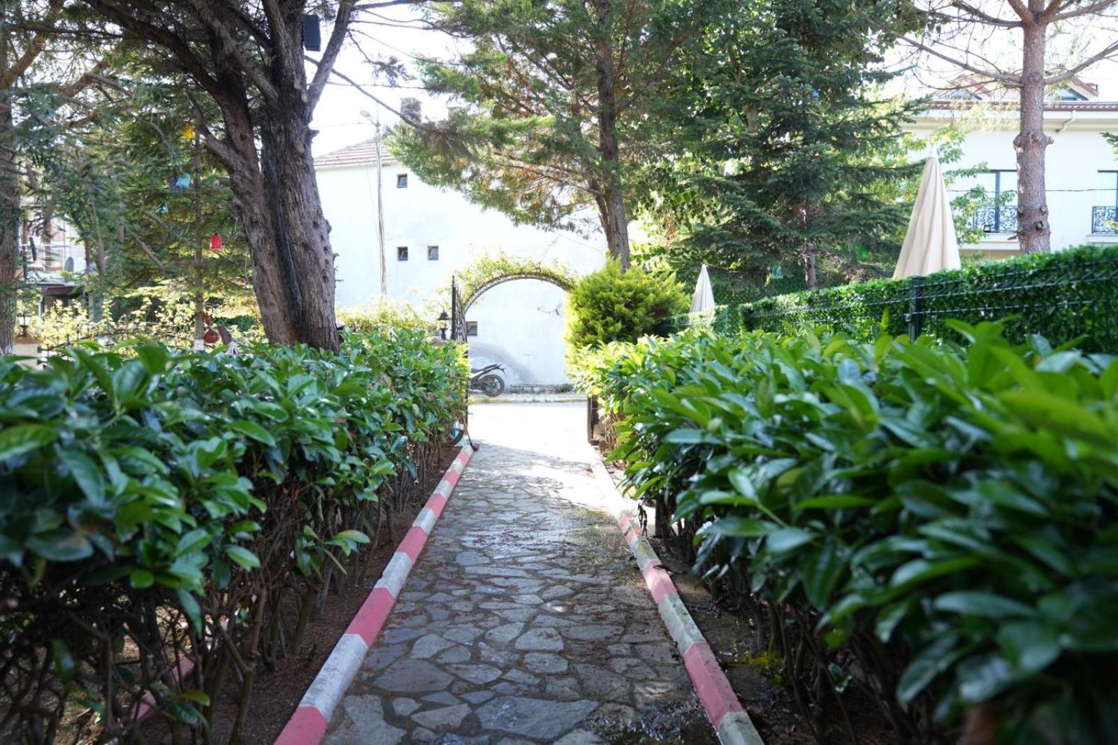 Butterfly Boutique Hotel Agva ภายนอก รูปภาพ